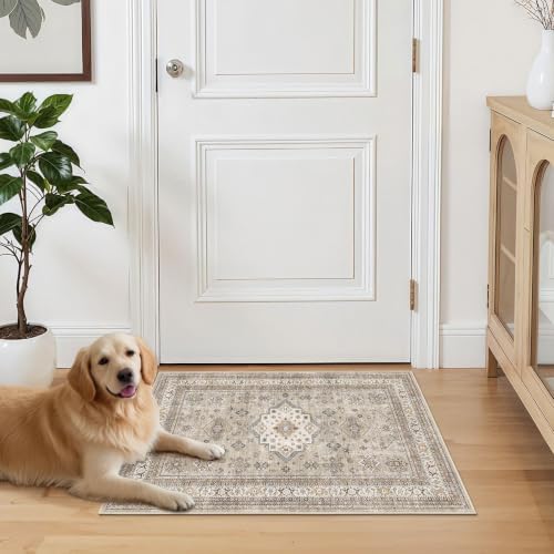 cotiled 2x3 Area Rug for Living Room, Washable, Traditional, Beige