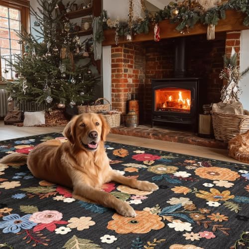 2x3 Washable Entryway Area Rug: Small Rug Non Slip Door Mat Indoor Entrance