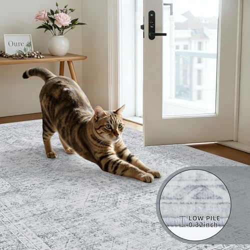 3x5 Area Rugs Living Room: Bedroom Neutral Washable Carpet Gray