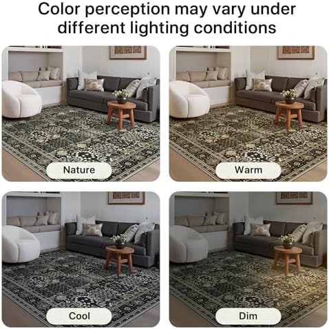 Bavni 5x7 Washable Area Rug Non Slip for Living Room, Black