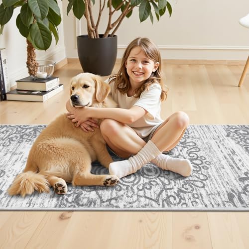 HEBE Hallway Runner Rug 2'x4', Washable Non Slip Kitchen Rug Runner