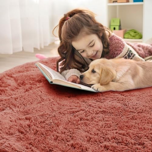 OLANLY Rust Red Round Rugs for Bedroom - Machine Washable, 4 ft Circle Area Rugs for Living Room, Soft and Fluffy Shaggy Carpet for Teen Girl and Boys, Nursery Rooms, Dorms, Home Decor Aesthetic