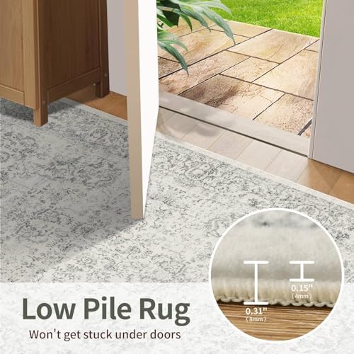 Rugxara 8x10 Area Rugs,Large Rugs for Living Room(Grey)