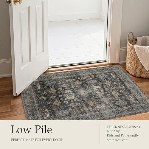 Ruaruarug Washable Area Rug 5×7 for Living Room, Ultra Soft, Silver