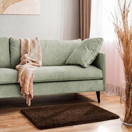 Ophanie Small Rug Washable Non Slip Throw Bedside Area Rugs, Fluffy Soft Brown Mini Bedroom Carpet, Affordable Door Entryway Indoor Inside Front Entrance Dog 2x3 Mat, Home Decor Aesthetic, Nursery