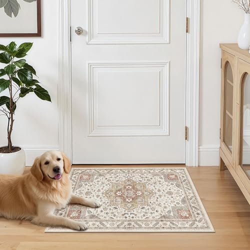 cotiled 2x3 Area Rug for Living Room, Washable, Traditional, Golden Taupe