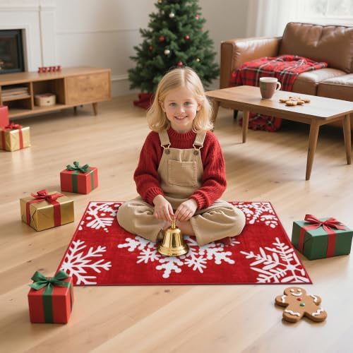 HEBE Christmas Indoor Door Mat 2'x3', Vintage Snowflake Entryway Rug