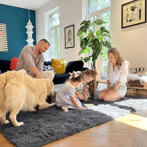 OLANLY 4x7 Area Rugs for Living Room Bedroom, Machine Washable Soft Fluffy Shaggy Bedside Rug, Indoor Floor Carpet for Kids Girls and Boys, Dorms, Nursery Rooms, Home Decor Aesthetic, Grey