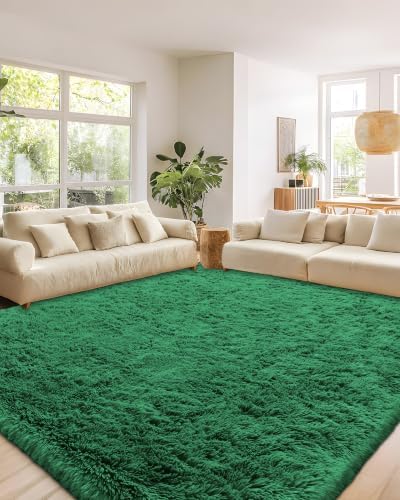 Smiry Area Rugs for Living Room Bedroom 2x4 ft, Fluffy Washable Carpet