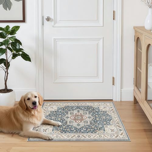 cotiled 2x3 Area Rug for Living Room, Washable, Traditional, Vintage Blue