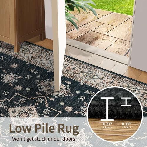 Rugxara Black Area Rugs 5x7 Washable Rug for Living Room Bedroom