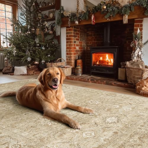 10x14 Area Rugs for Living Room: Large Washable Bedroom Rug Non Slip Carpet