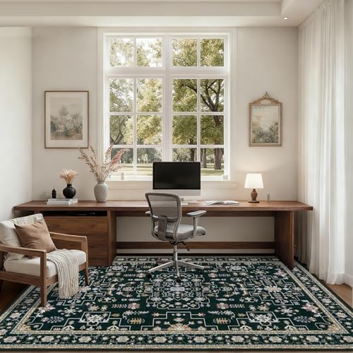 5x7 Area Rugs Living Room: Washable Vintage Rug for Bedroom Black