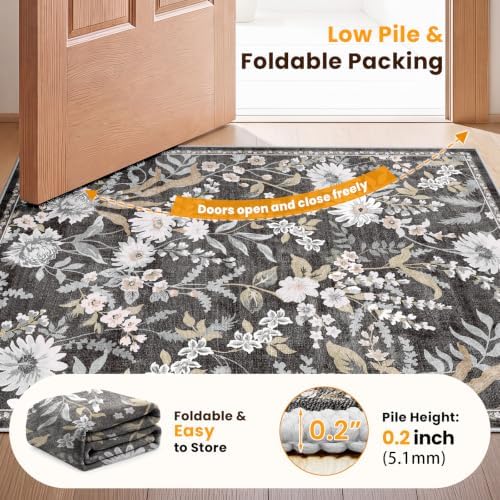 SameBed Washable 2x3 Entryway Area Rug, Vintage Kitchen Rug Black
