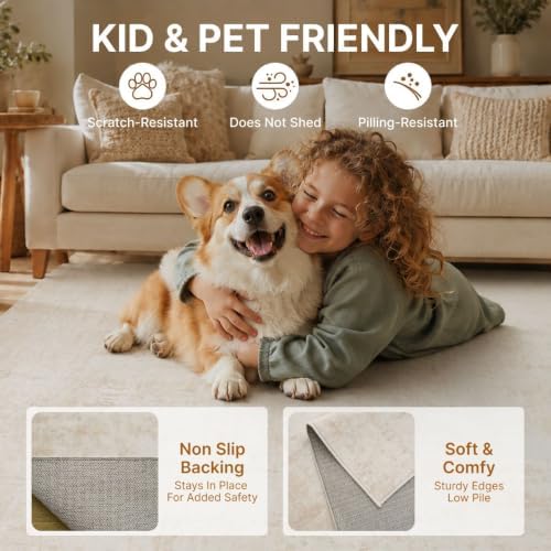 Abstract Area Rug 3x5 Ft Washable Rugs for Entryway Indoor