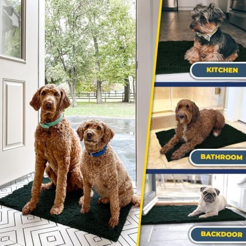 Muddy Mat® | Super Water Absorbent Door Mat Indoor, Microfiber Quick Dry Chenille Entryway Rug,Slip Resistant Front Door Mat,Indoor Mats for Entryway,Machine Washable Pet Rug, Hunter Green 36" x 72"