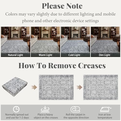 Washable Small Area Rugs for Entryway: 2x3 Door Mat Indoor Entrance