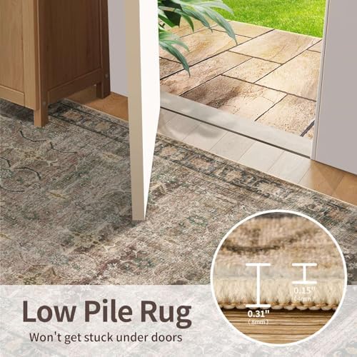 Rugxara Brown 6x9 Area Rugs Washable Rug for Living Room Dining Bedroom