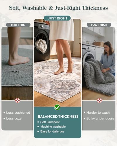 Lahome 5x7 Area Rugs for Living Room, Vintage Washable Charcoal Office Rug