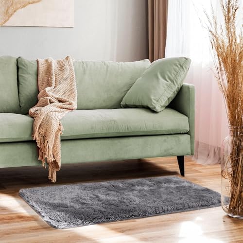 Ophanie 2x4 Small Rug Upgrade Non Slip Throw Bedside Area Rugs, Fluffy Soft Grey Mini Bedroom Carpet, Affordable Door Entryway Indoor Inside Front Entrance Dog Mat, Home Decor Aesthetic, Nursery