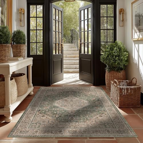 Ruaruarug Washable Area Rug 4×6 for Living Room, Ultra Soft, Celadon