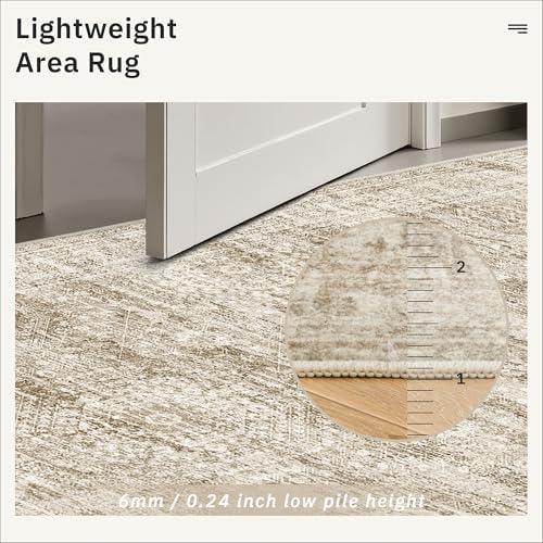Soalmost 4x6 Area Rug for Living Room, Washable Rugs Non-Slip, Brown