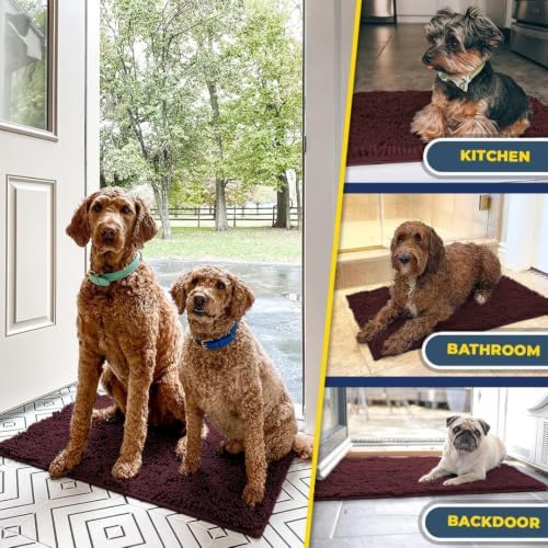 Muddy Mat® | Super Water Absorbent Door Mat Indoor, Microfiber Quick Dry Chenille Entryway Rug, Slip Resistant Front Door Mat, Indoor Mats for Entryway, Machine Washable Pet Rug, Rust 19" x 30"