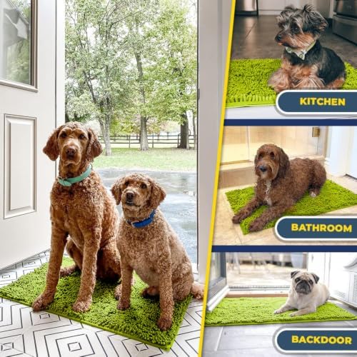 Muddy Mat® | Super Water Absorbent Door Mat Indoor, Microfiber Quick Dry Chenille Entryway Rug,Slip Resistant Front Door Mat,Indoor Mats for Entryway,Machine Washable Pet Rug, Spring Green 20" x 30"