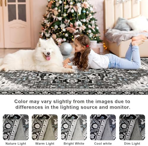 Macgace Washable Vintage Small Area Rug for Entryway, 2x3 Rugs Black Grey