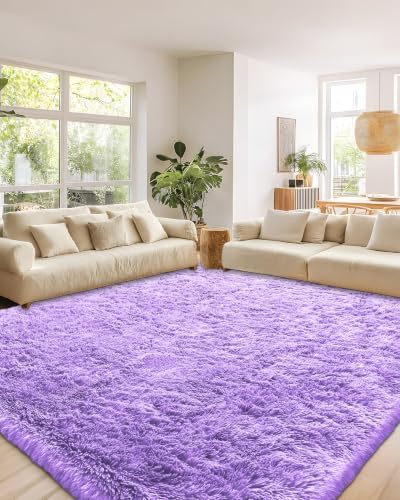 Smiry Area Rugs for Living Room Bedroom 2x3 ft, Fluffy Washable Carpet
