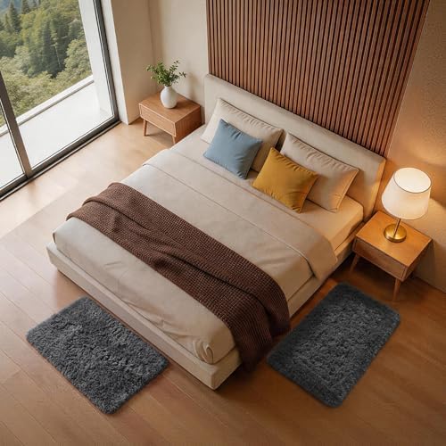 Ophanie Small Rug Washable Non Slip Throw Bedside Area Rugs, Fluffy Soft Mini Bedroom Carpet, Door Entryway Indoor Inside Front Entrance 2x3 Mat 2 Pack, Home Decor Aesthetic, Grey