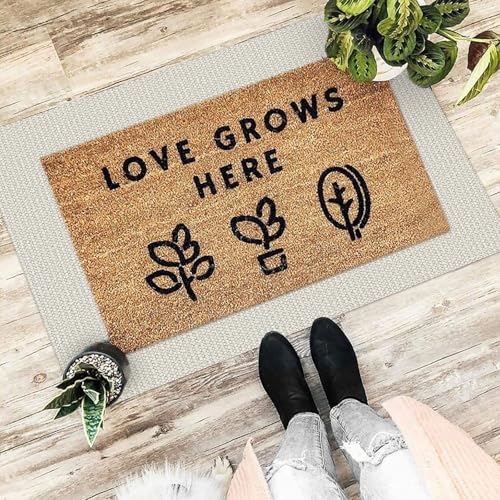EARTHALL Washable Entryway Rug, Non Slip Doormat, 2x3 Ft, Cream/Grayish
