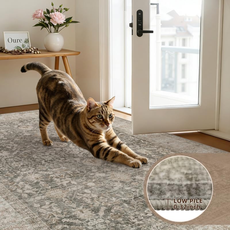5x7 Area Rugs Living Room: Bedroom Washable Carpet Warm Taupe