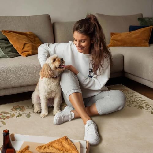 3x5 Washable Area Rug for Entryway: Small Bedroom Rug Non Slip Throw Carpet