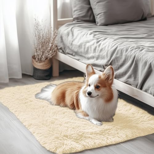 OLANLY 2x3 Machine Washable Small Bedside Rug, Soft Fluffy Shaggy Entryway Throw Rugs for Bedroom, Living Room, Indoor Floor Carpet for Kids Girls and Boys, Nursery Rooms, Home Decor Aesthetic, Cream