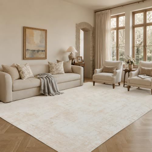Abstract Area Rug 3x5 Ft Washable Rugs for Entryway Indoor
