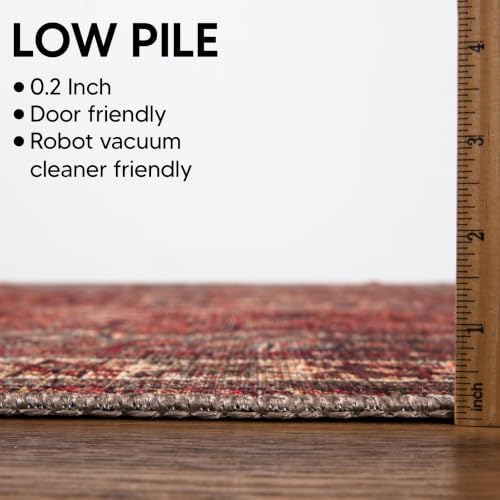 Keen Home Design Vintage Washable Area Rug, Non-Slip Low Pile, 4x6