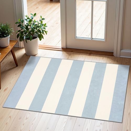 Front Door Mat Indoor Outside Entrance, 2x3 Blue White Striped Rug