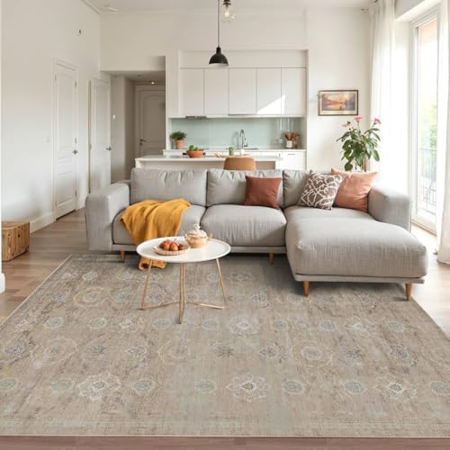 Rugxara Beige 4x6 Area Rug Washable Rug for Living Room Bedroom Office