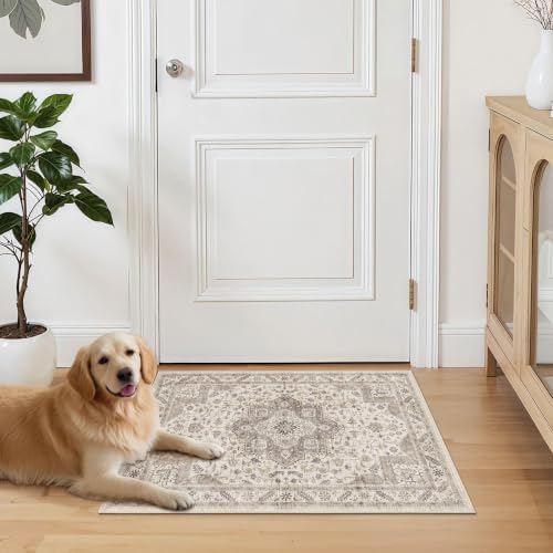 cotiled 2x3 Area Rug for Living Room, Washable, Traditional, Light Brown