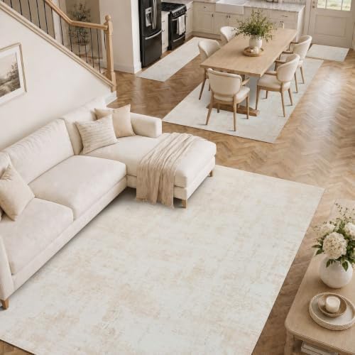 Abstract Area Rug 3x5 Ft Washable Rugs for Entryway Indoor
