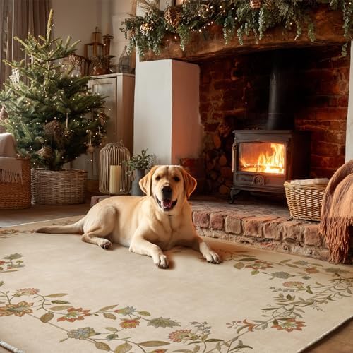 3x5 Washable Area Rug for Entryway: Small Bedroom Rug Non Slip Throw Carpet