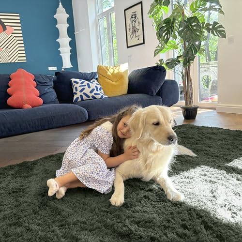 OLANLY 5x7 Machine Washable Large Area Rugs for Living Room, Bedroom, Soft Fluffy Shaggy Bedside Rug, Indoor Floor Carpet for Kids Girls and Boys, Dorms, Nursery, Home Decor Aesthetic, Olive Green
