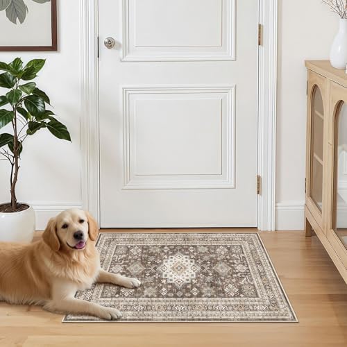 cotiled 3x5 Area Rug for Living Room, Washable, Traditional, Dark Brown