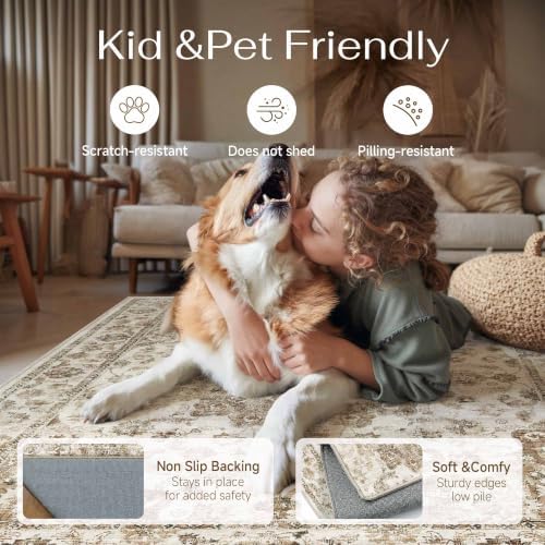 2x3 Brown Neutral Area Rug