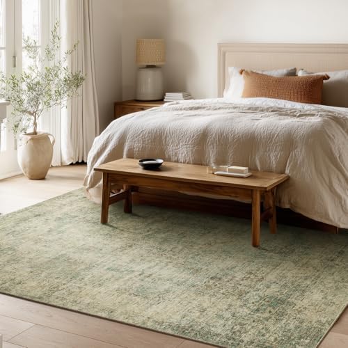 Machine Washable Rugs for Living Room: 6x9 Area Rugs for Bedroom