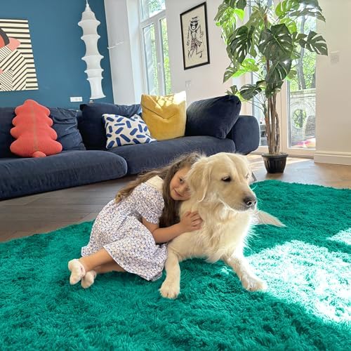 OLANLY Area Rugs for Living Room Bedroom, Machine Washable 4x5.9 ft Soft Fluffy Shaggy Bedside Rug, Indoor Floor Carpet for Kids Girls and Boys, Dorms, Nursery Rooms, Home Decor Aesthetic, Teal Green