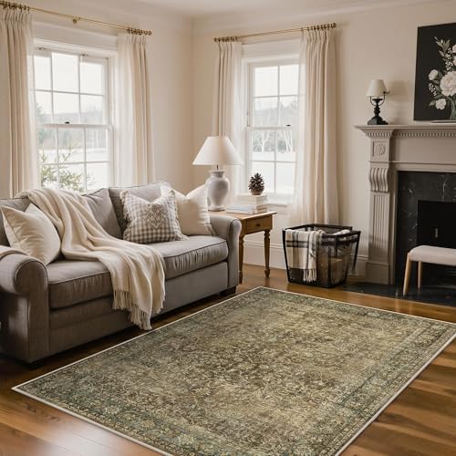 Bavni 6x9 Area Rugs for Living Room, Washable Low Pile, Brown Olive