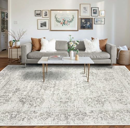 Rugxara 8x10 Area Rugs,Large Rugs for Living Room(Grey)