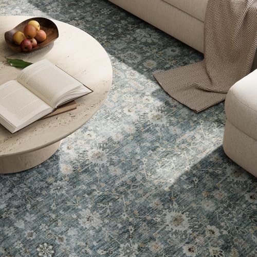 Washable Small Area Rugs for Entryway: 2x3 Door Mat Indoor Entrance